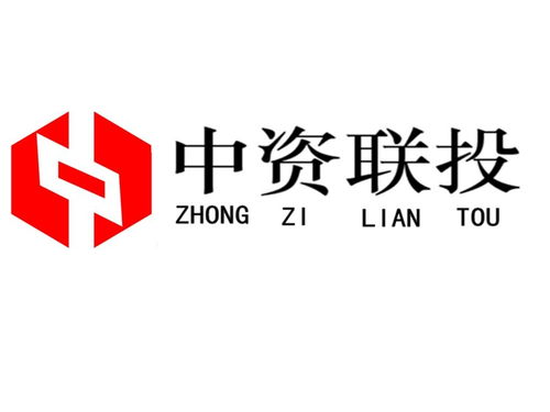 武漢市中資聯(lián)投投資咨詢 專業(yè)投資智慧引領(lǐng)區(qū)域發(fā)展新動能